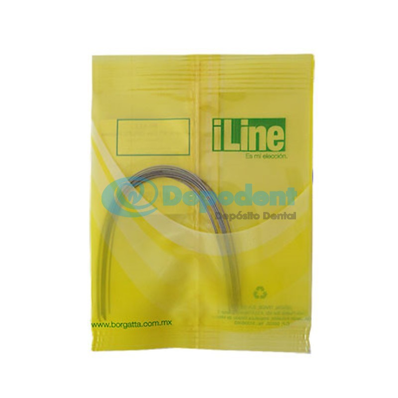 ARCO SUPERIOR ACERO ILINE .019 X .025 10 PZAS BORGATTA