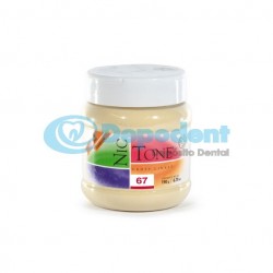 ACRILICO AUTOCURABLE COLOR 67 190 GR NIC TONE